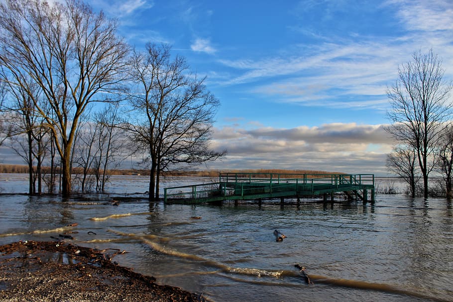 flood, mississippi river, levee, driftwood, riverbank, muddy, lookout, waves, water, bare tree