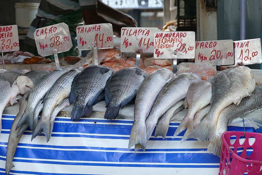 fish, market, food, eat, fang, vertebrate, retail, food and drink, seafood, freshness