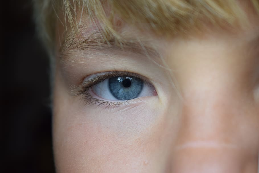 eye, blue, person, face, closeup, eyes, boy, children, hair, portrait