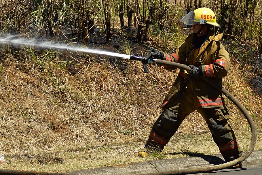 bombero, fuego, casco, equipo, trabajo, protección, humo, manguera, servicio, capacitación