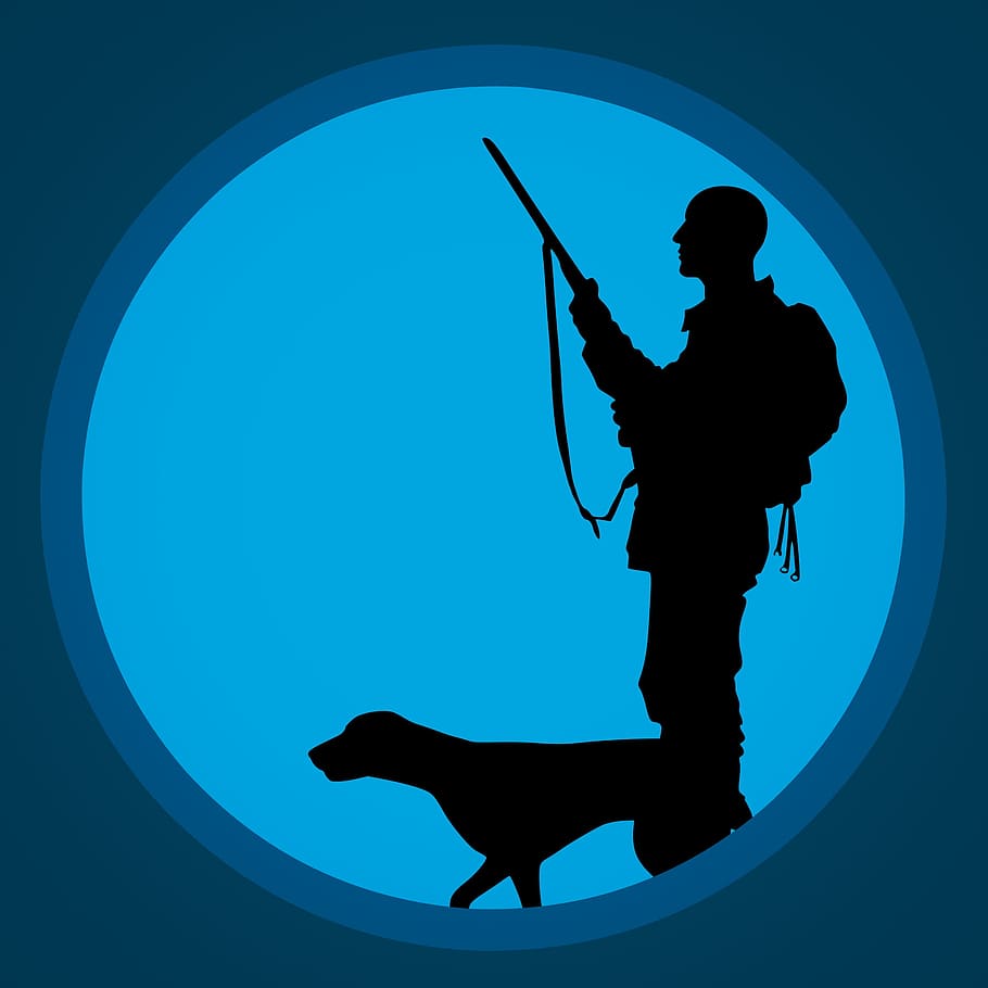 ilustração em silhueta, caçador, cão de caça, cão, caça, adulto, doméstico, fauna, jogo, guarda de armas