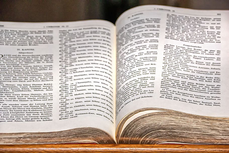 bible, book, church, pages, reading, literature, knowledge, religion, read, font
