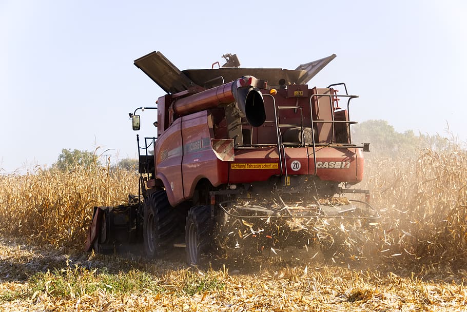 corn, harvest, combine harvester, nature, vegetables, agriculture, food, yellow, eat, autumn
