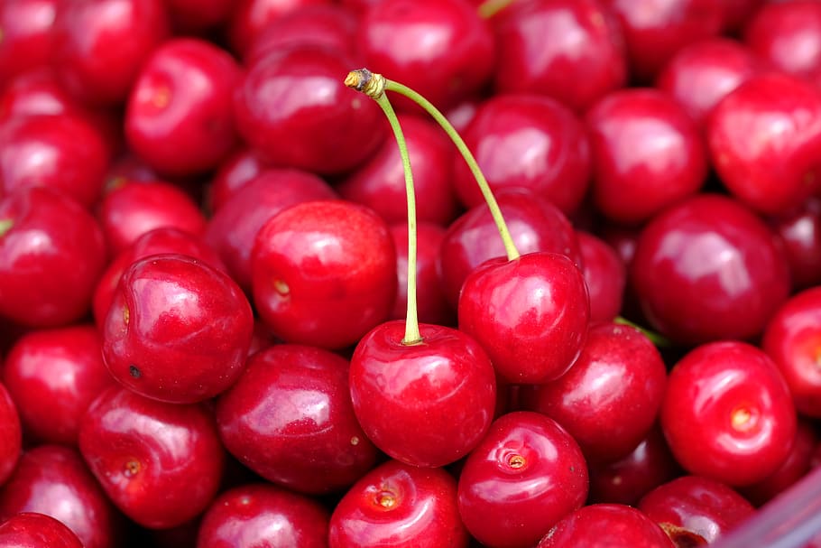 cherry, sweet cherry, bird cherry, prunus avium, stalk, connected, combines, fruit, stone fruit, pome fruit