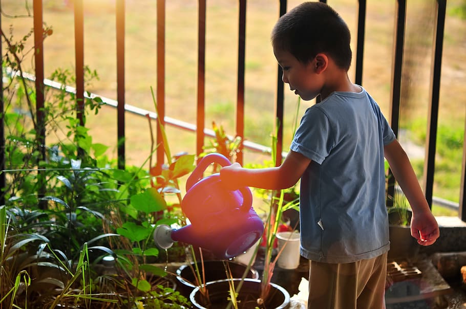 tree, watering, child, planting, garden, water, kid, little, kids, gardening | Pxfuel
