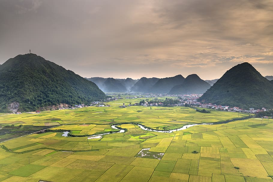 bac son, silk, field, the valley, vietnam, the landscape, natural, mountain, environment, curve