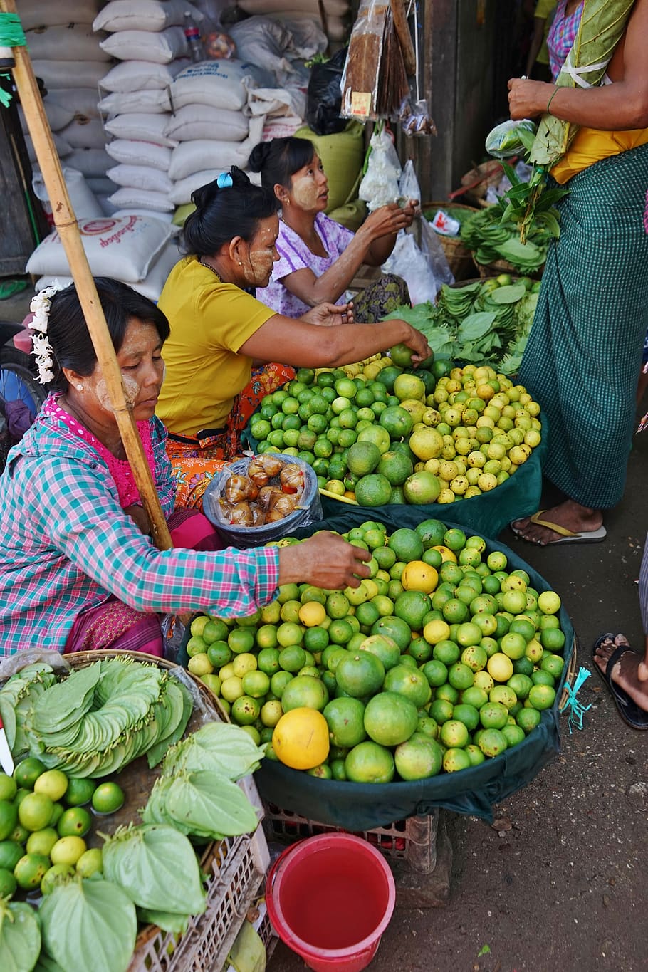 myanmar, asia, burma, local, market, fruit, people, traditional, culture, agriculture