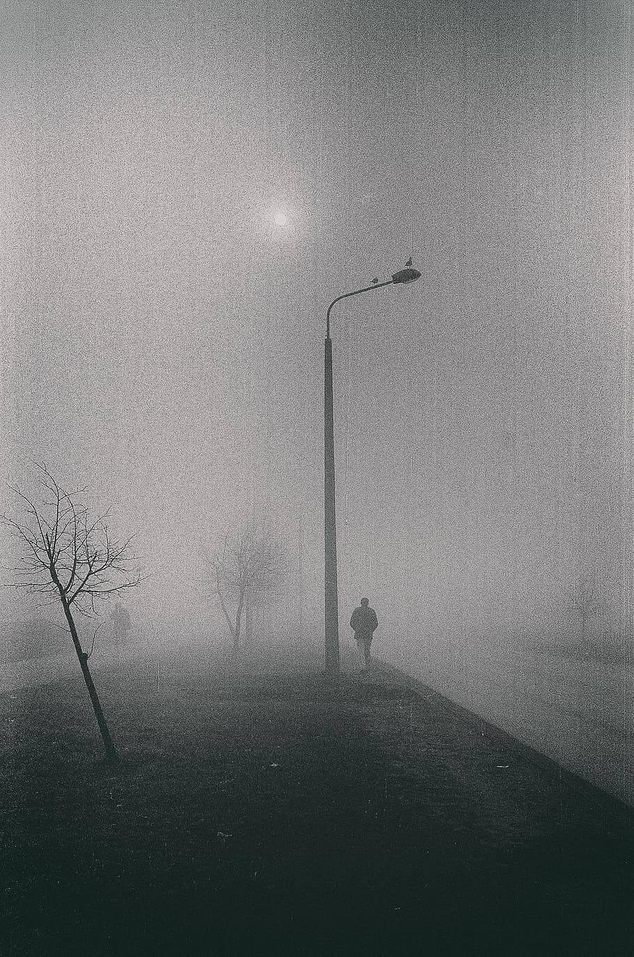 silhouettes, fog, alone, black, branch, cold, contrast, dark, day, depression