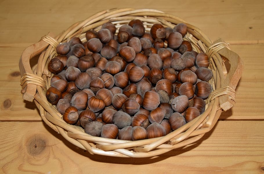 hazelnuts, nuts, hazel, walnut, bowls, basket, fruits, natural, alimentari, bowl