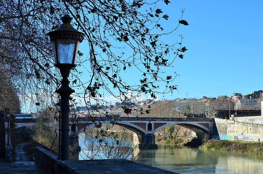 sungai, tiang lampu, musim dingin, jembatan, kota, tiber, Roma, melankolis, metropolitan, soliter