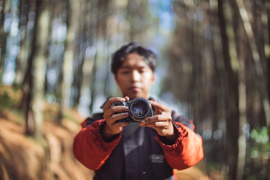 câmera, lente, fotografia, foto, fotógrafo, pessoas, homem, bosques, floresta, temas de fotografia