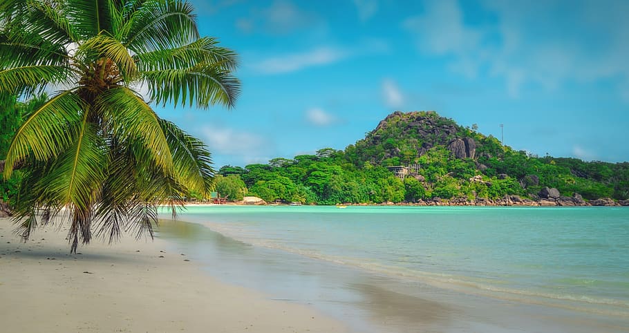 praslin, seychelles, an island, beach, sea, paradise, nature, tropical, ocean, sand