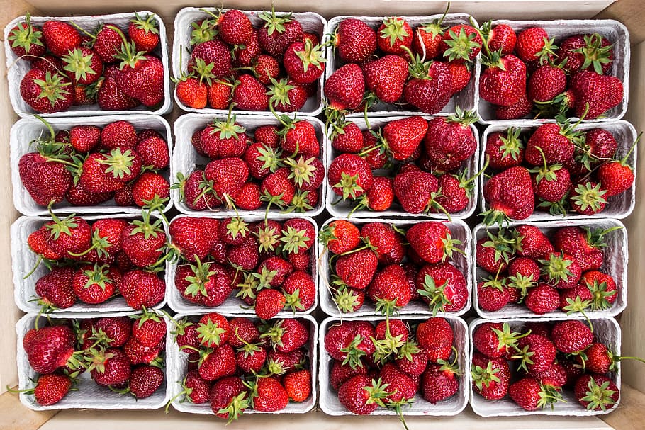 red, strawberries, fruits, food, healthy, baskets, market, fresh, berry fruit, healthy eating