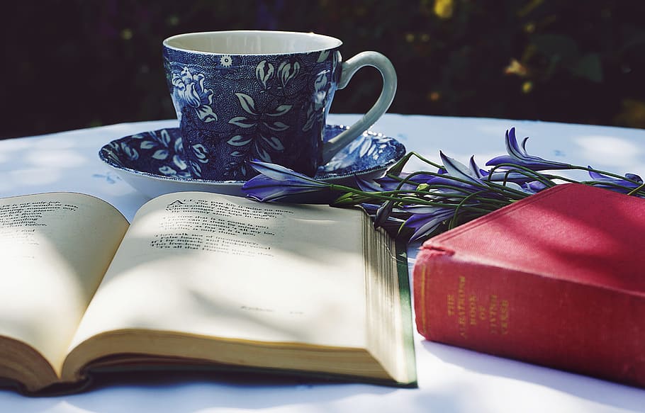 cangkir teh, minuman, buku, puisi, membaca, sastra, buku-buku tua, taman, sinar matahari, bunga