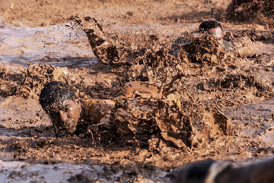 mud, training, exercise, soldier, military, human, activity, animals in the wild, animal themes, animal