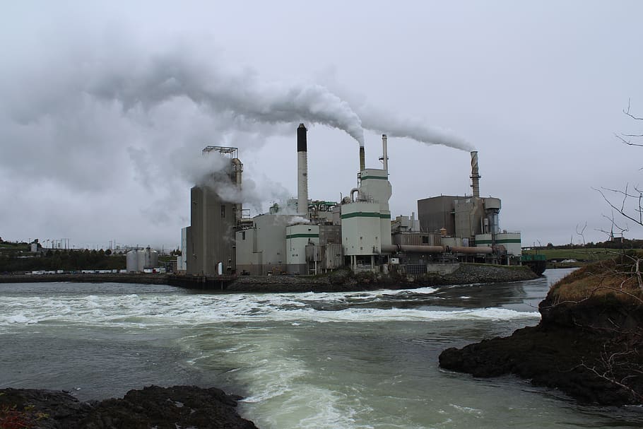 pabrik kertas, st john, nova scotia, membalikkan jatuh, memproses, kanada, air, polusi, pabrik, masalah lingkungan