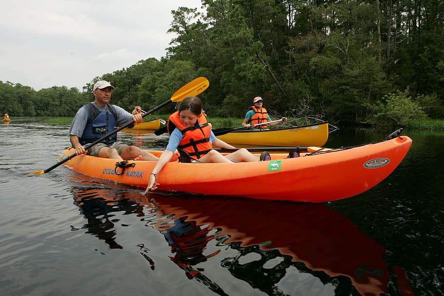 canoa, canoagem, rio, barco, atividade, família, selvagem, natureza, embarcação náutica, agua