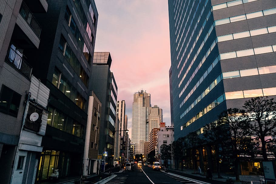 japan, tokyo city, evening, building, street, modern, building exterior, architecture, built structure, city