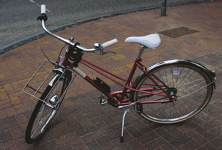 bicicleta, dirigir, roda, dois, estrada, pavimento, bicicletários, holandês, outono, relaxado