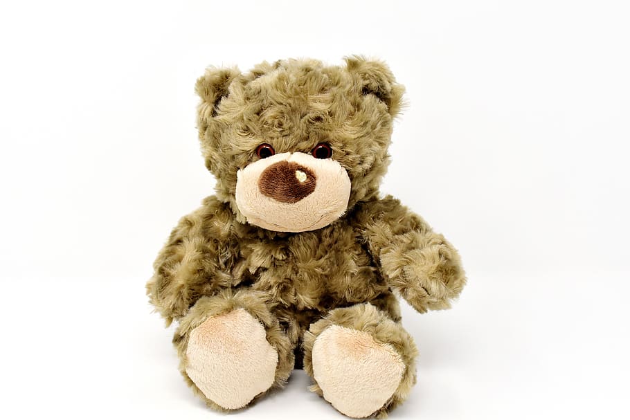 teddy, lucu, hewan, mainan lunak, teddy bear, mewah, boneka binatang, manis, beruang, mainan