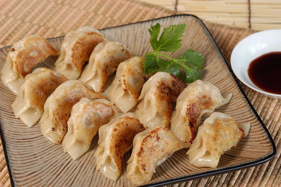 dumpling, japanese, gyoza, food, food and drink, ready-to-eat, freshness, healthy eating, asian food, meat
