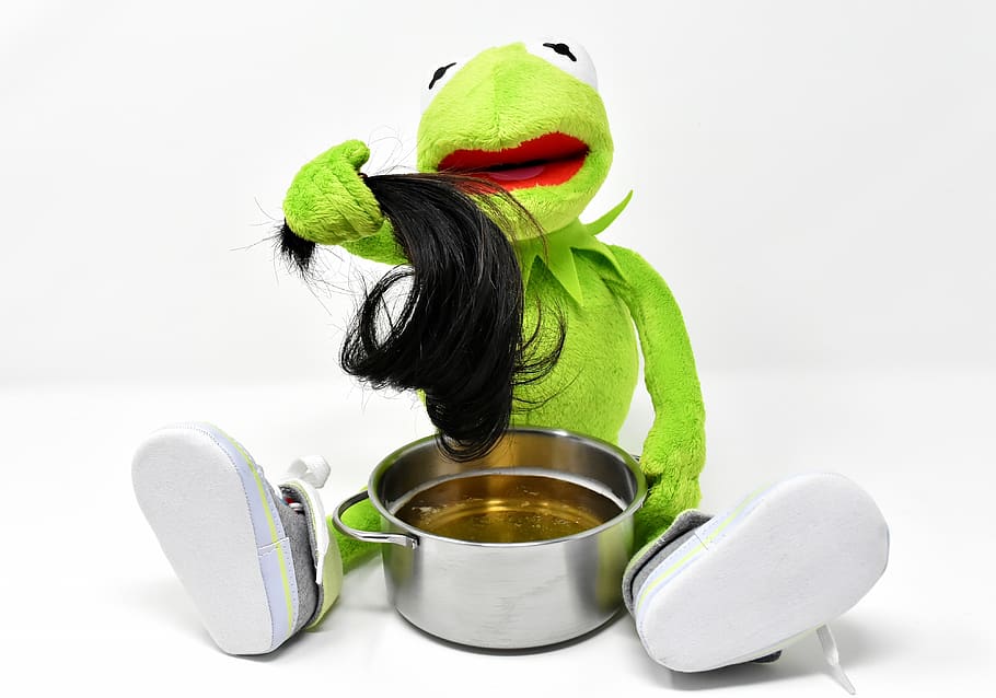 symbolic, the hair in the soup, figure of speech, saying, meal, soup, food, kermit, frog, funny