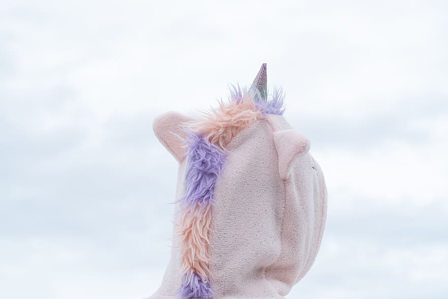 unicorn, costume, carnival, animal, mythical animal, dress up, rear view, close up, sky, carnival time
