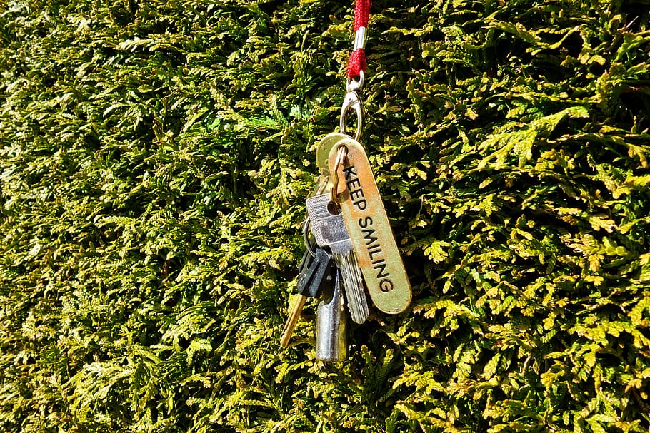 key, key chain, door, access, security, lock, hedge, taxus, conifer, key hanging from hedge