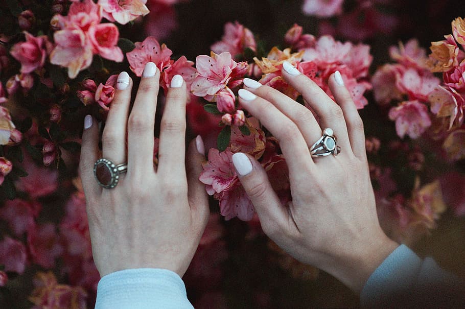 gente, mujer, dama, niña, manos, uñas, anillos, flores, rosa, mano humana