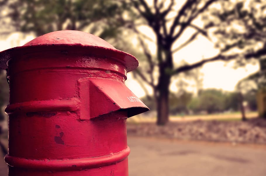 letter box, focus on foreground, red, tree, mailbox, mail, day, plant, metal, close-up
