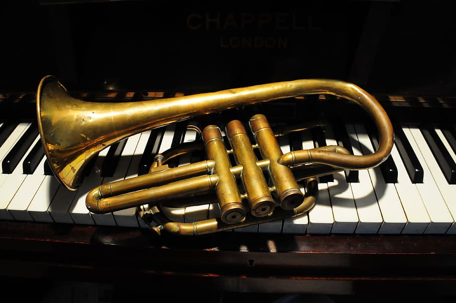 trumpet, music, piano, keys, horn, brass, ebony, ivory, black, white