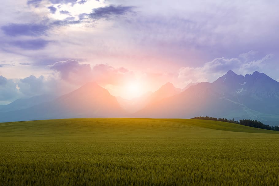 amazing, sunset., landscape, high, mountains., fields., environment, land, scenics - nature, beauty in nature