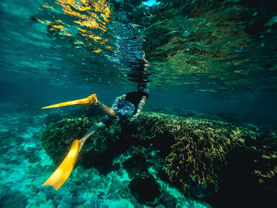 uderwater, viagem, mergulho, mar, mergulhador, oceano, água, aventura, amarelo, embaixo da agua