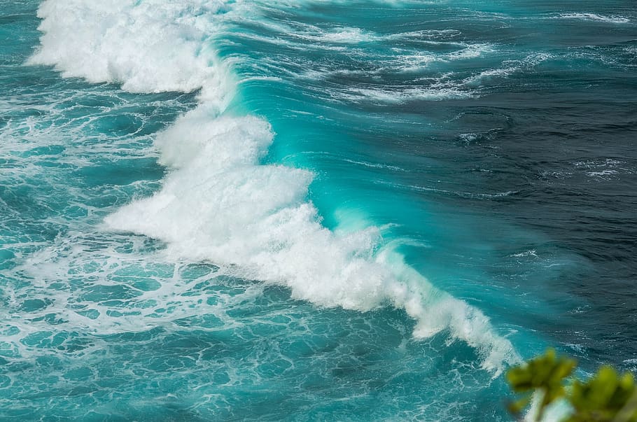 ola, agua, océano, maui, hawaii, mar, movimiento, belleza en la naturaleza, deporte, nadie