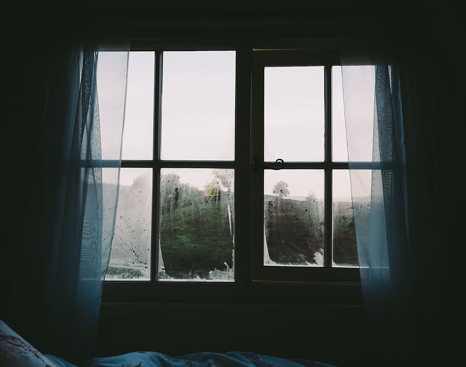negro, azul, gris, arboles, ventanas, ventana, transparente, vidrio - material, adentro, día