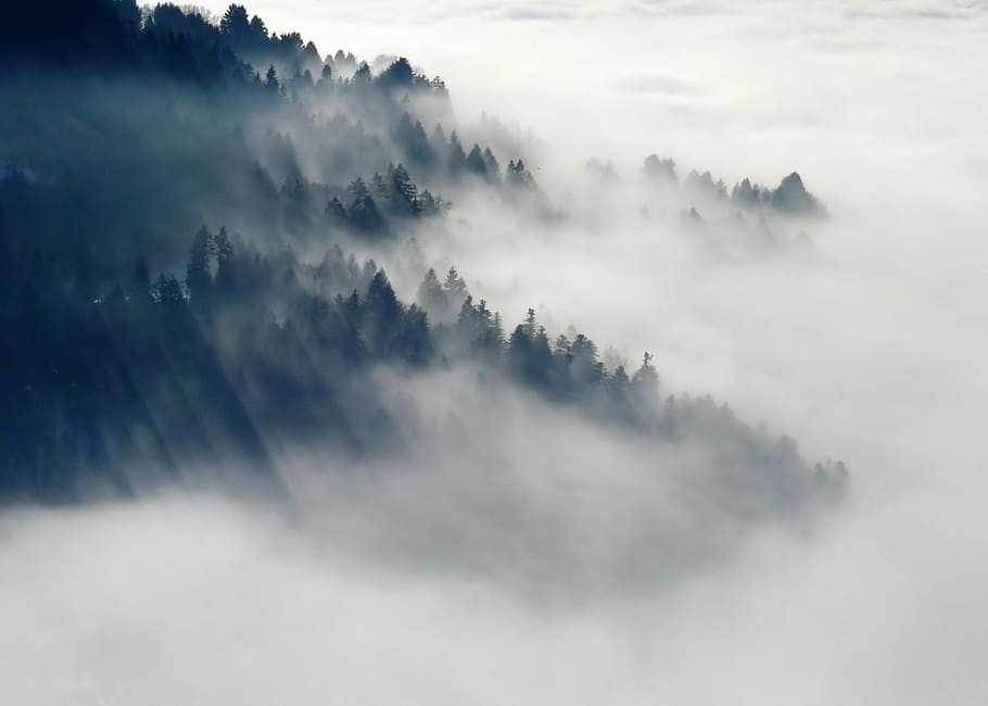 preto, nevoeiro, cinza, montanhas, árvores, branco, inverno, beleza na natureza, tranquilidade, cena tranquila