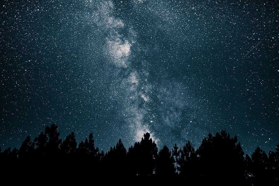 bintang di atas hutan, alam, hutan, Wallpaper hD, malam, langit, ruang, bintang, astronomi, pohon