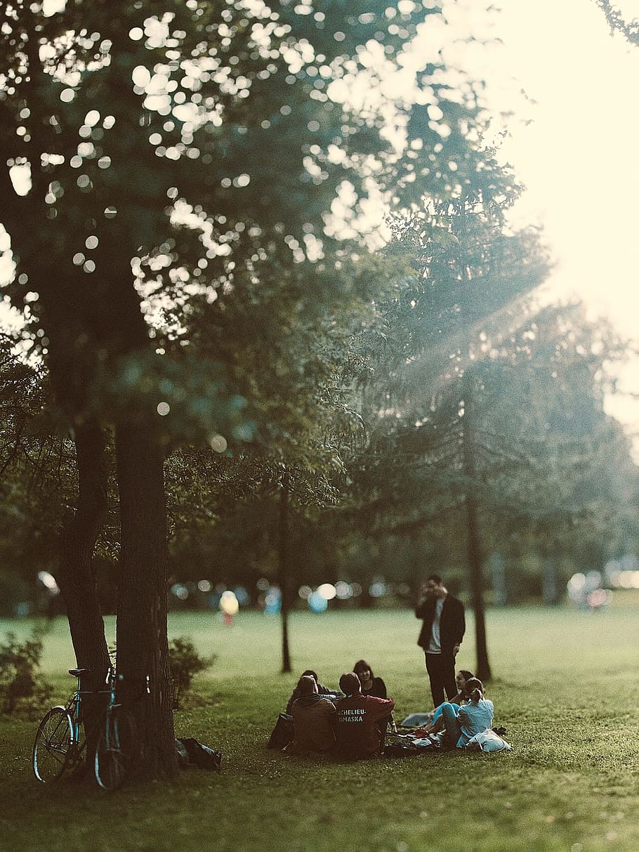 people, meeting, park, group, man, woman, nature, tree, grass, sitting