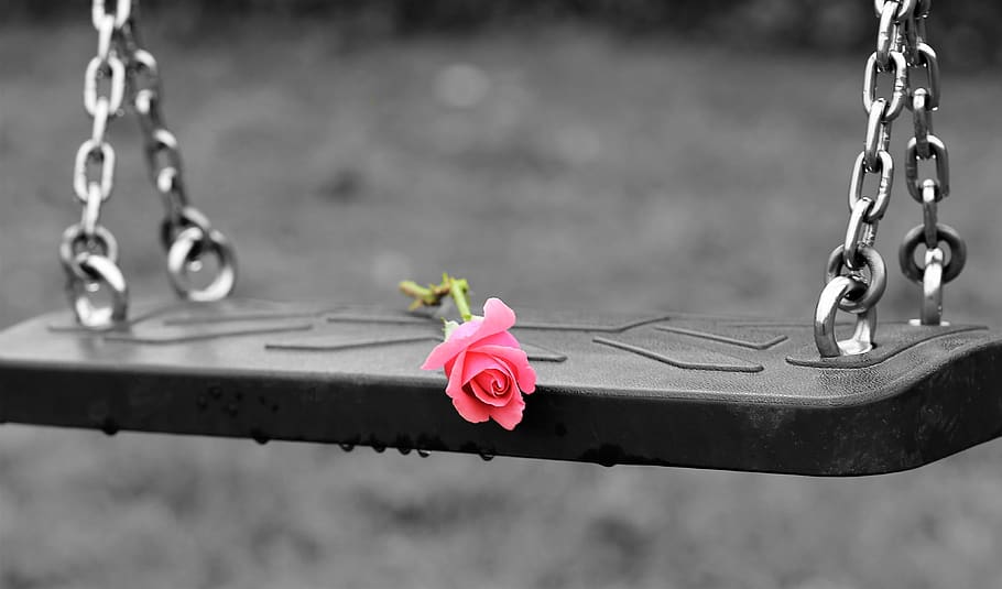 pink rose on empty swing, stop children suicide, empty playground, toxic childhood, stop child neglect, stop physical abuse, stop emotional abuse, stop cyber bullying, stop bullying in schools, stop school violence