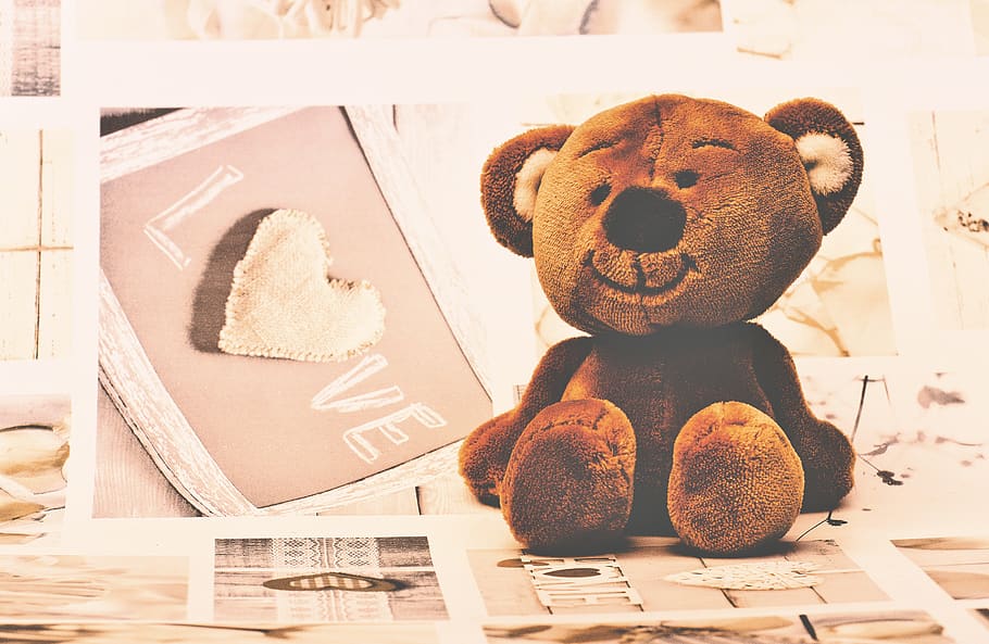 teddy bear, teddy, soft toys, furry teddy bear, cute, bears, plush, sweet, funny, children toys