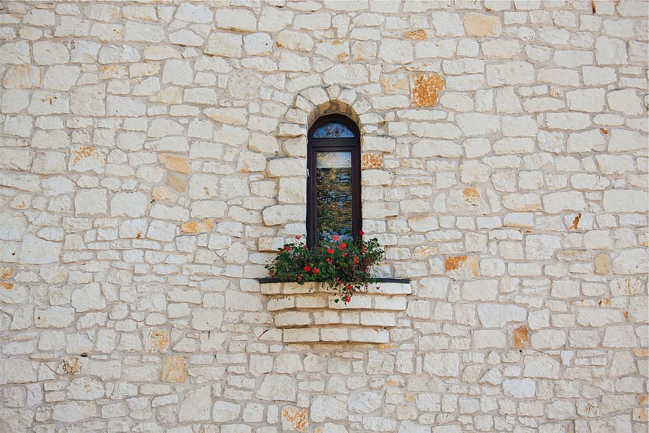 stones, wall, window, sill, flowers, architecture, built structure, wall - building feature, plant, building exterior