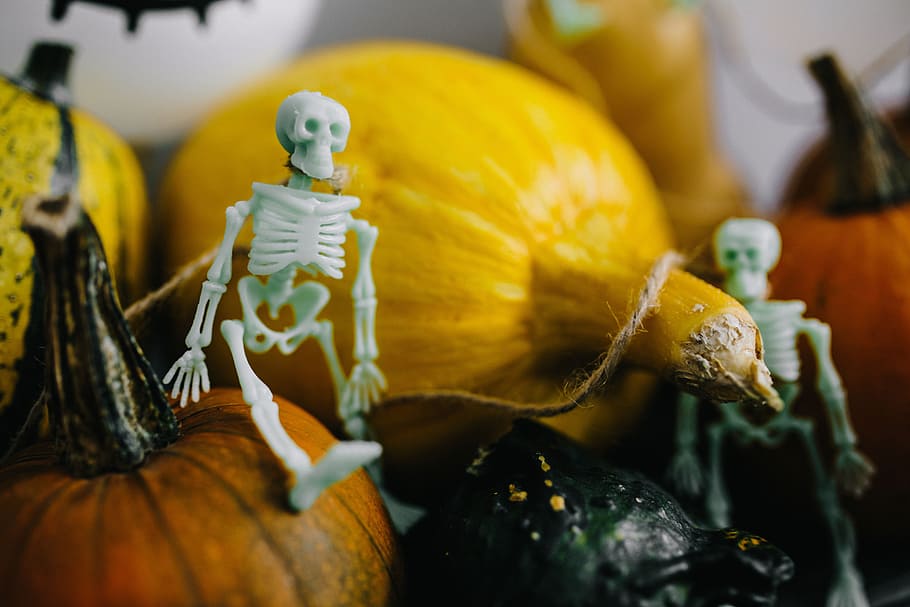 calabazas y halloween, verduras, otoño, calabazas, gracioso, halloween, fantasmas, abucheo, calabaza, comida