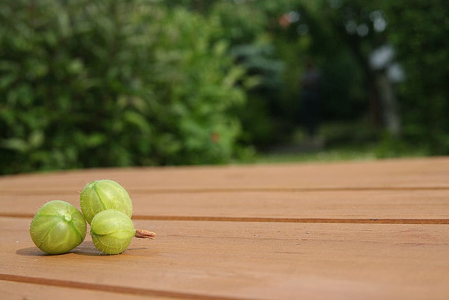 gooseberry, garden, the background, dining table, background, plants, green, fruit, sour, healthy