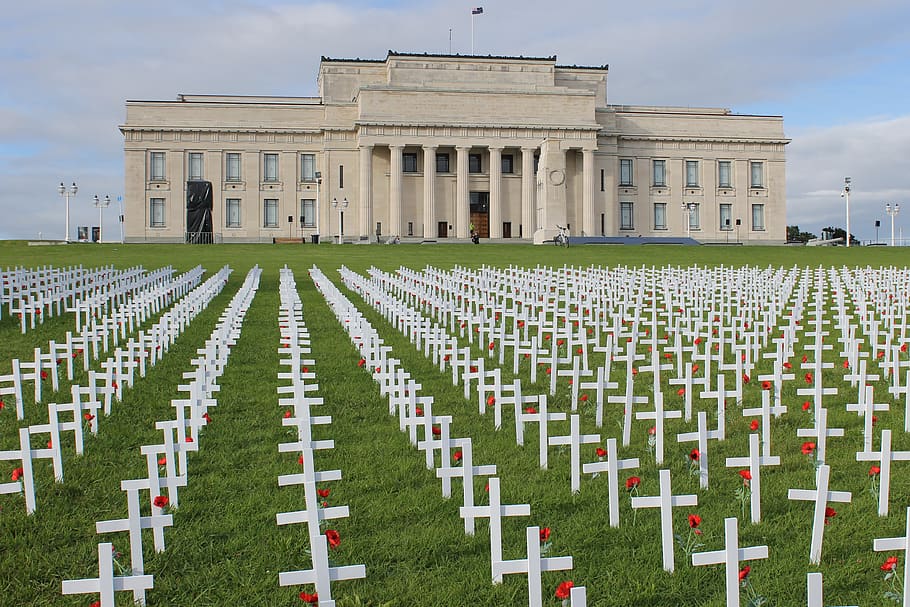 war, remembrance, new zealand, anzac, poppy, memorial, poppies, armistice, ww1, memory