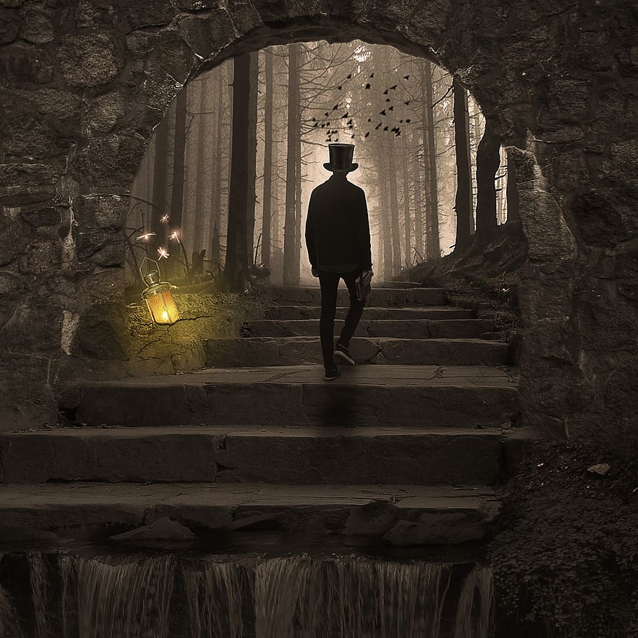 manipulation, cave, stairs, man, forest, wood, lamp, birds, architecture, one person