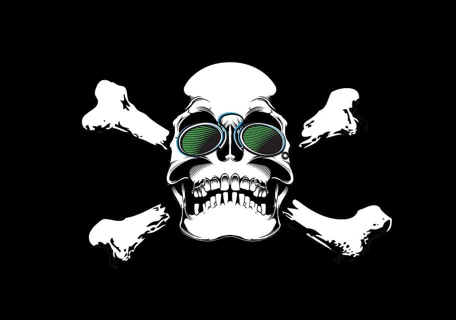 skull, bones, pirate, sunglasses, illustration, art, graphic, graphical, black background, human body part