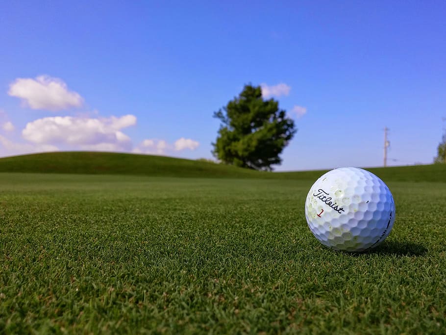 golf, ball, sports, activity, grass, green, golf course, plant, sport, green - golf course