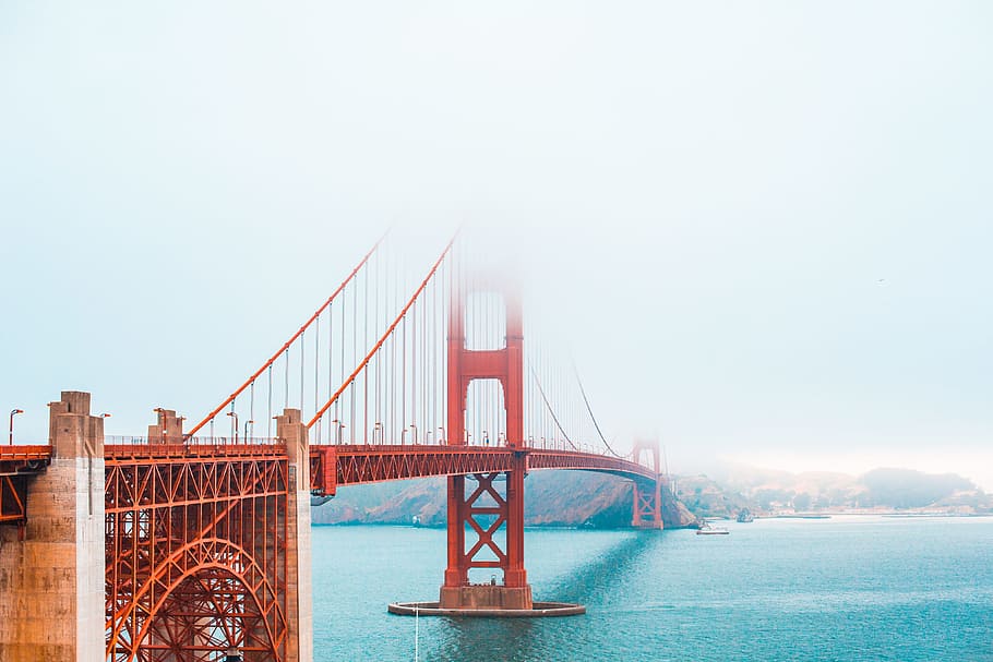 dorado, puente gate, en parte, cubierto, niebla, arquitectura, puente, california, nublado, brumoso