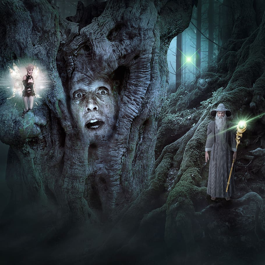 fantasy, dream world, light, mythical creatures, mystical, fantasy picture, photomontage, image editing, composing, mood