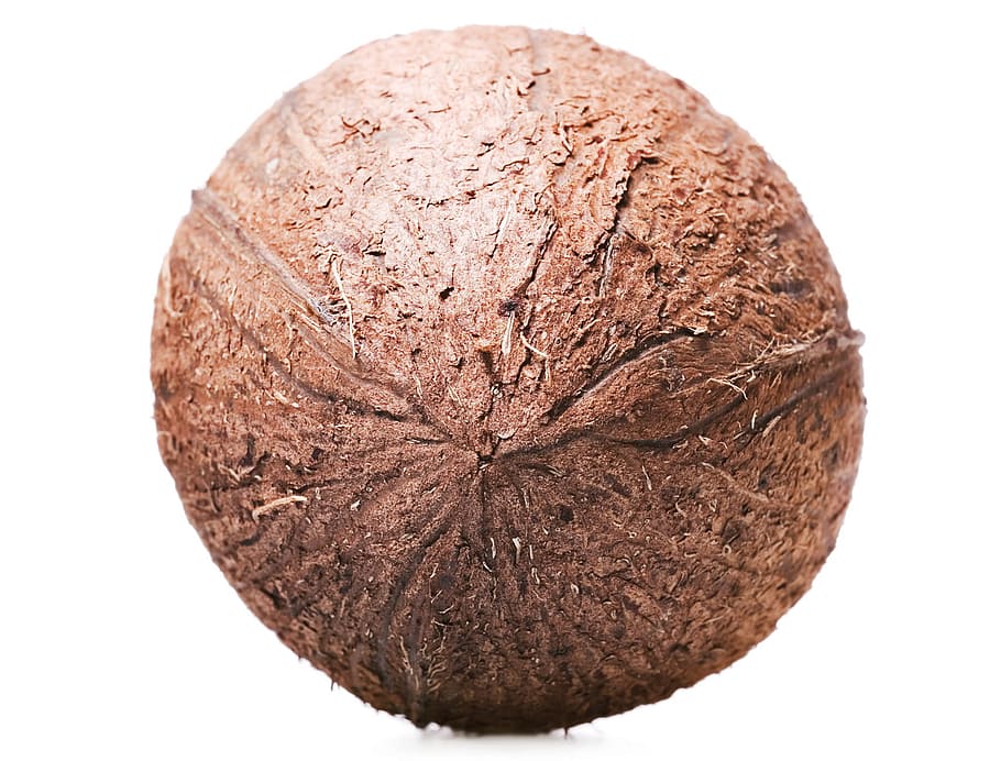 coconut, closeup, tropical, white, brown, husk, one, macro, hard, object
